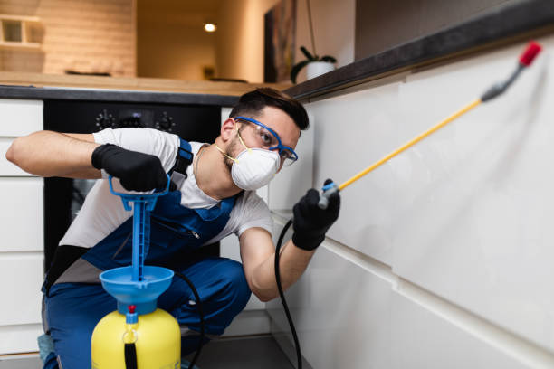Reliable Tolono, IL Pest Control Solutions