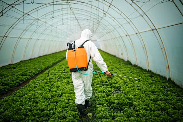 Best Residential Pest Control  in Tolono, IL