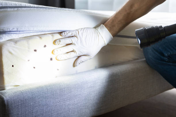 Best Commercial Pest Control Services  in Tolono, IL