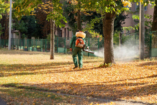 Pest Control for Restaurants in Tolono, IL