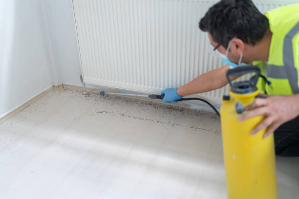 Best Cockroach Control Services  in Tolono, IL