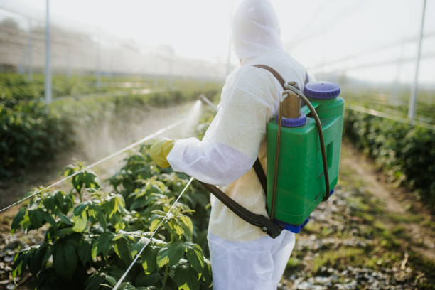Best Pest Control Near Me  in Tolono, IL